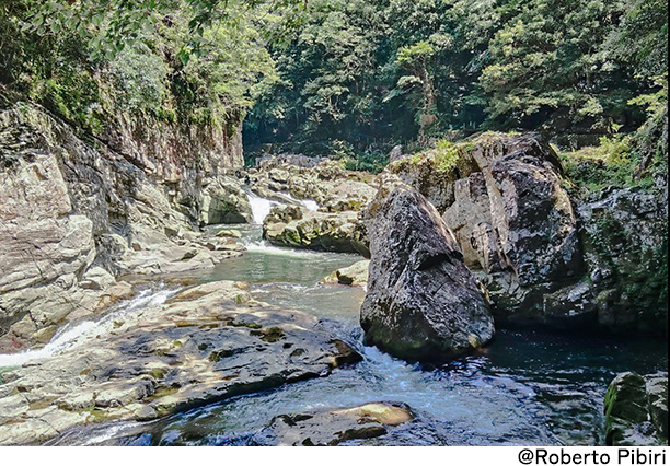 画像：施設外観